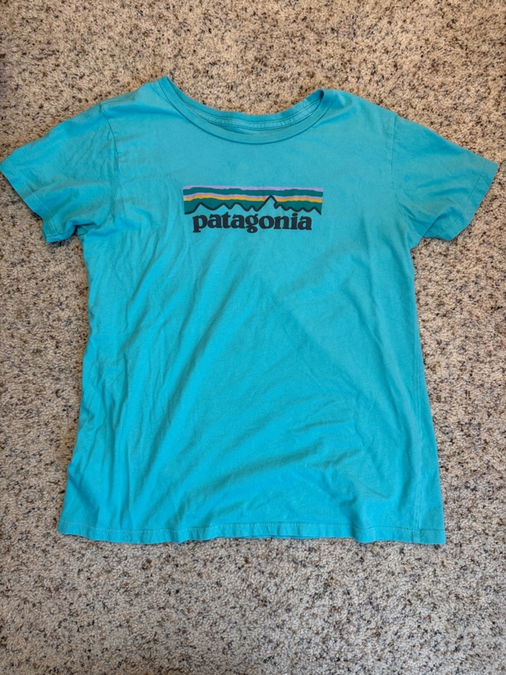 Patagonia Turquoise Short Sleeve Logo Tee